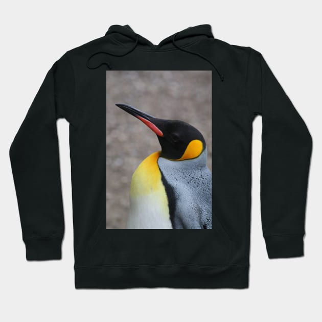 pinguin Hoodie by OVP Art&Design